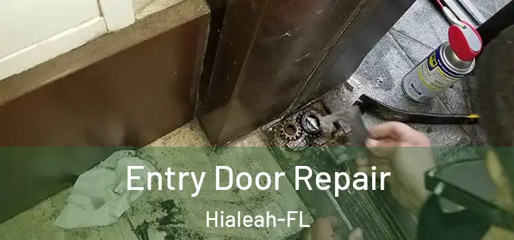  Entry Door Repair Hialeah-FL
