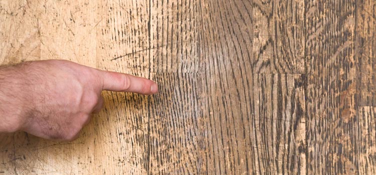 Wood Door Scratch Repair in Hialeah